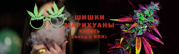 ПСИЛОЦИБИНОВЫЕ ГРИБЫ Бердск