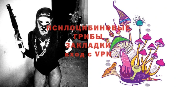 spice Надым