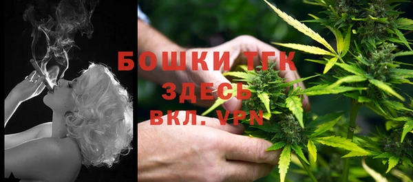 мдпв Ачинск