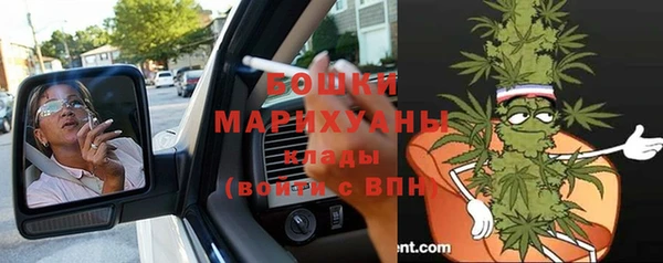 мдпв Ачинск