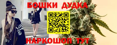 индика Котовск