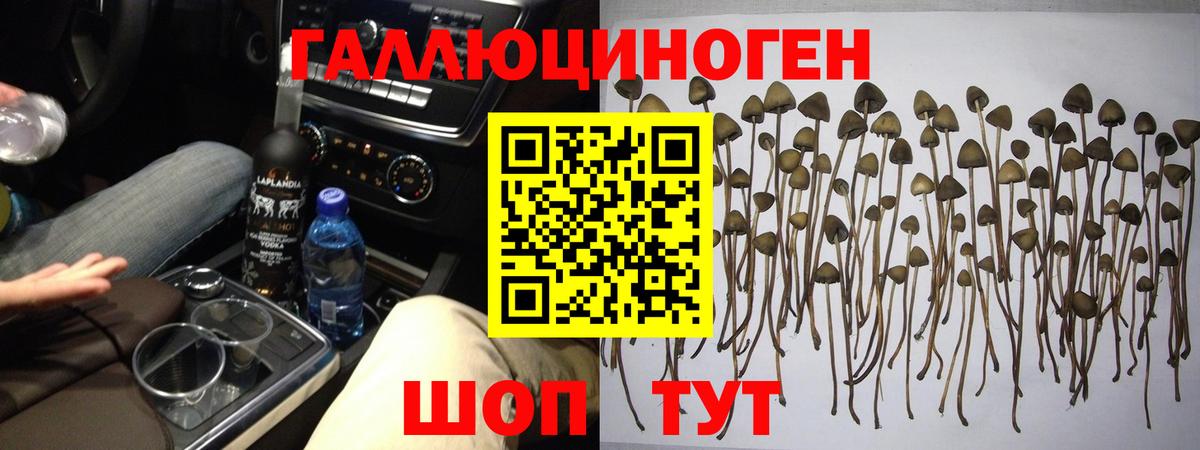 как найти закладки  Галлюциногенные грибы ЛСД  Псилоцибиновые грибы Cubensis  Вход с VPN  Тихорецк 